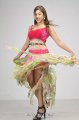 Payal Ghosh Hot Photo Shoot Pics