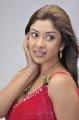 Payal Ghosh Hot Photo Shoot Pics