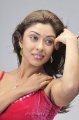 Payal Ghosh Hot Photo Shoot Pics