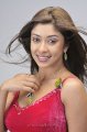 Payal Ghosh Hot Photo Shoot Pics