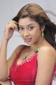 Payal Ghosh Hot Photo Shoot Pics