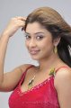 Payal Ghosh Hot Photo Shoot Pics