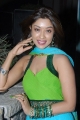 Payal Ghosh Latest Hot Pics Stills