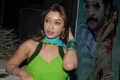 Payal Ghosh Latest Hot Pics Stills