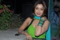 Payal Ghosh Latest Hot Pics Stills