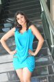 Payal Ghosh Hot Spicy Pics