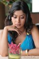 Payal Ghosh Hot Spicy Pics