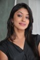 Payal Ghosh in Black Dress Stills