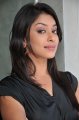 Payal Ghosh in Black Dress Stills