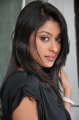 Payal Ghosh in Black Dress Stills