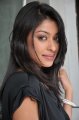 Payal Ghosh in Black Dress Stills