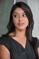 Payal Ghosh in Black Dress Stills