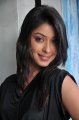 Payal Ghosh in Black Dress Stills