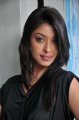 Payal Ghosh in Black Dress Stills