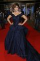 Actress Payal Ghosh Stills in Dark Blue Deep Neck Sleeveless Gown