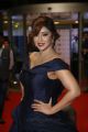 Actress Payal Ghosh Stills in Dark Blue Gown @ Filmfare Awards South 2017