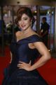 Actress Payal Ghosh Stills in Dark Blue Gown @ Filmfare Awards South 2017