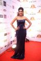 Actress Payal Rajput Stills @ Dadasaheb Phalke Awards South 2019 Red Carpet