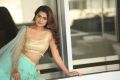 Telugu Actress Payal Rajput Hot New Photos