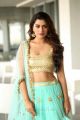 Telugu Actress Payal Rajput New Hot Photos