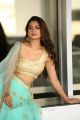 Telugu Actress Payal Rajput Hot New Photos