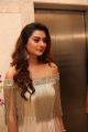 Actress Payal Rajput New Images @ Salon Hair Crush Launch Party