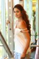 Actress Payal Rajput New Hot Photoshoot Stills