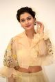 Actress Payal Rajput Pics @ RX 100 Movie Audio Launch