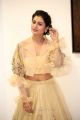 RX 100 Movie Actress Payal Rajput New Pics