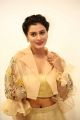 Actress Payal Rajput New Pics @ RX 100 Audio Release