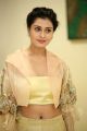 Actress Payal Rajput New Pics @ RX 100 Audio Launch