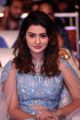 Actress Payal Rajput New Stills @ Disco Raja Movie Pre Release