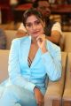 Actress Payal Rajput New Stills @ RDX Love Movie Pre Release