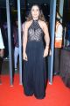 Actress Payal Rajput Pictures @ Sakshi Excellence Awards Red Carpet