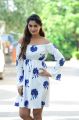 Actress Payal Rajput New Pics @ RDX Love Movie Trailer Launch