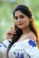 RDX Love Movie Actress Payal Rajput New Pics