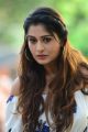 Actress Payal Rajput Pics @ RDX Love Trailer Launch