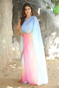 Venkatalachimi Movie Actress Payal Rajput Pictures