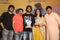 Pelli Choopulu Success Meet Stills