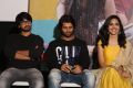 Pelli Choopulu Success Meet Stills