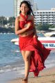 Actress Niti Taylor in Pelli Pustakam Latest Stills