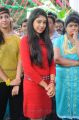 Actress Niti Taylor at Pelli Pusthakam Movie Opening Stills