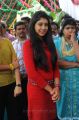 Actress Niti Taylor at Pelli Pusthakam Movie Opening Stills