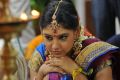 Actress Niti Taylor in Pelli Pustakam Telugu Movie Stills