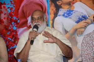 K. Raghavendra Rao @ Pelli Sandadi Success Celebrations Stills