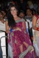 Actress Piaa Bajpai in Transparent Saree Hot Photos