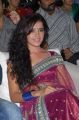 Actress Piaa Bajpai Hot Saree Photos at Dhalam Audio Release