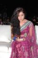 Actress Piaa Bajpai Hot in Shimmer Saree Photos