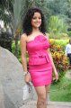 Piaa Bajpai Photoshoot Stills