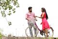 Vijay Antony, Satna Titus in Pichaikaran Movie Images